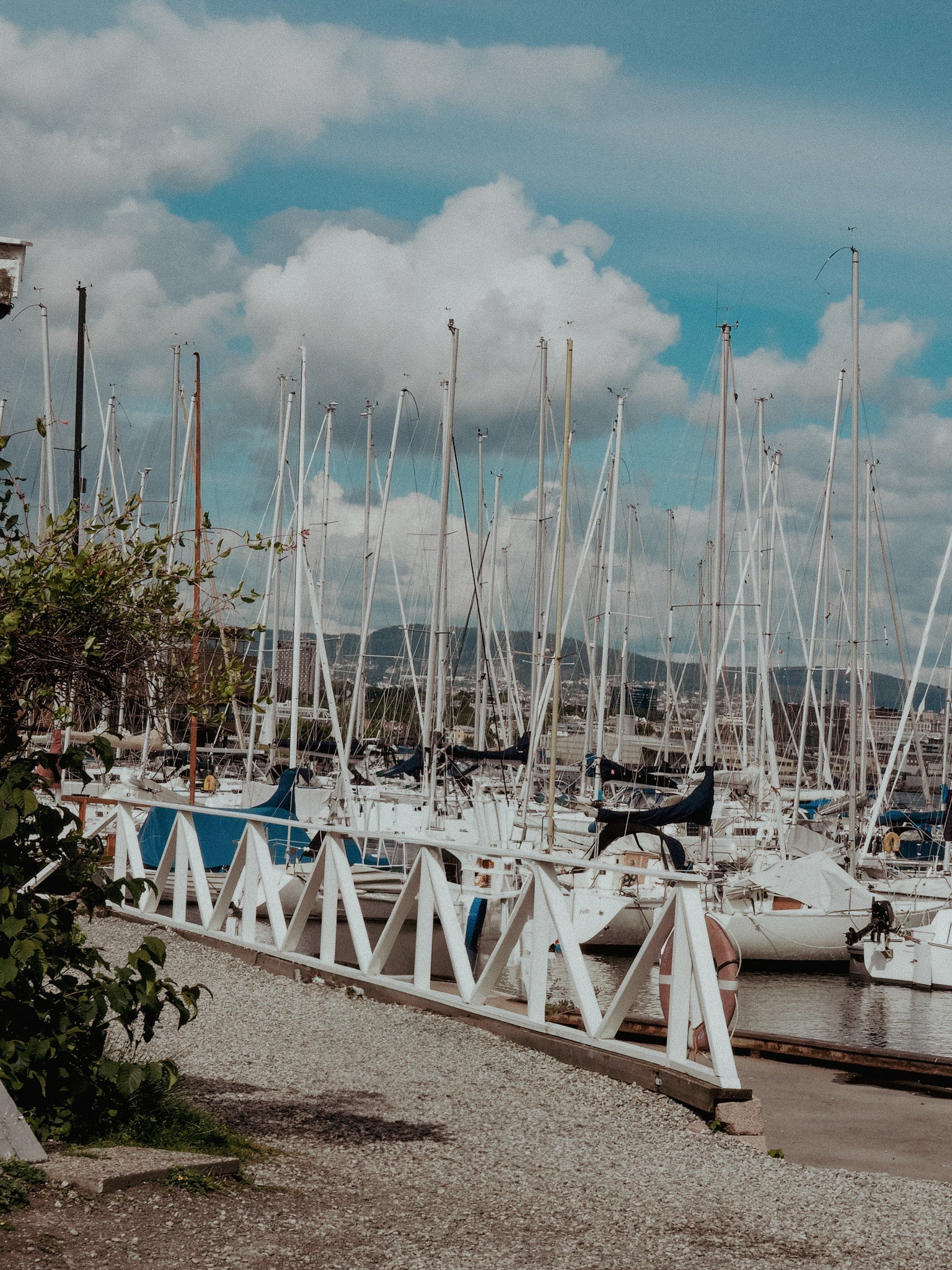 Norwegian marina with boats parked